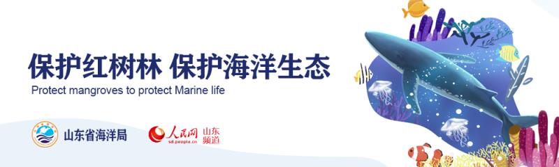 關(guān)心海洋、認(rèn)識(shí)海洋、經(jīng)略海洋珍惜海洋資源 保護(hù)海洋生物多樣性