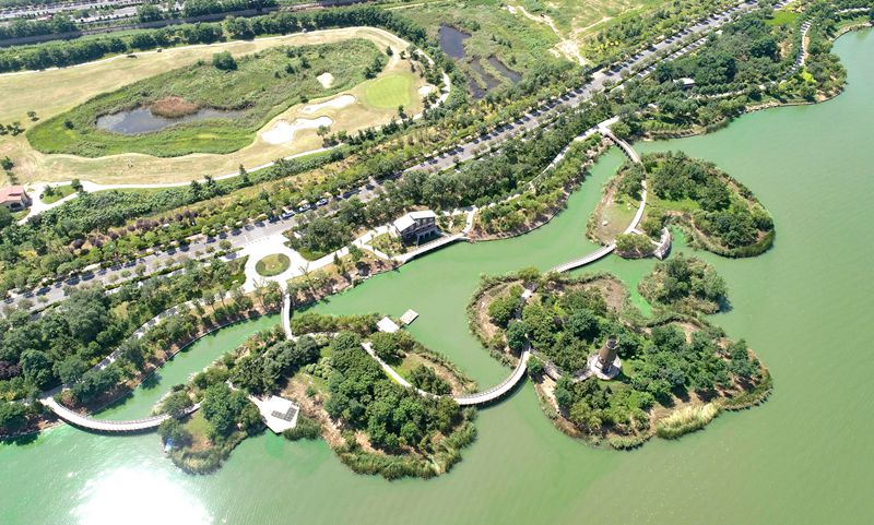 8月21日拍攝的少海水利生態(tài)美景。張進剛攝