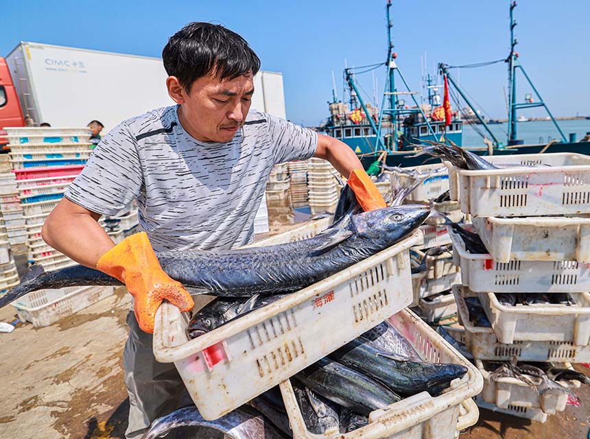 漁民在分揀、裝運各類漁獲。李信君攝