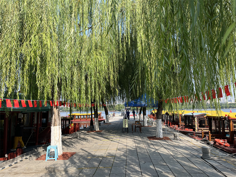 大名湖景區(qū)充滿了節(jié)日氣氛。濟南文旅供圖