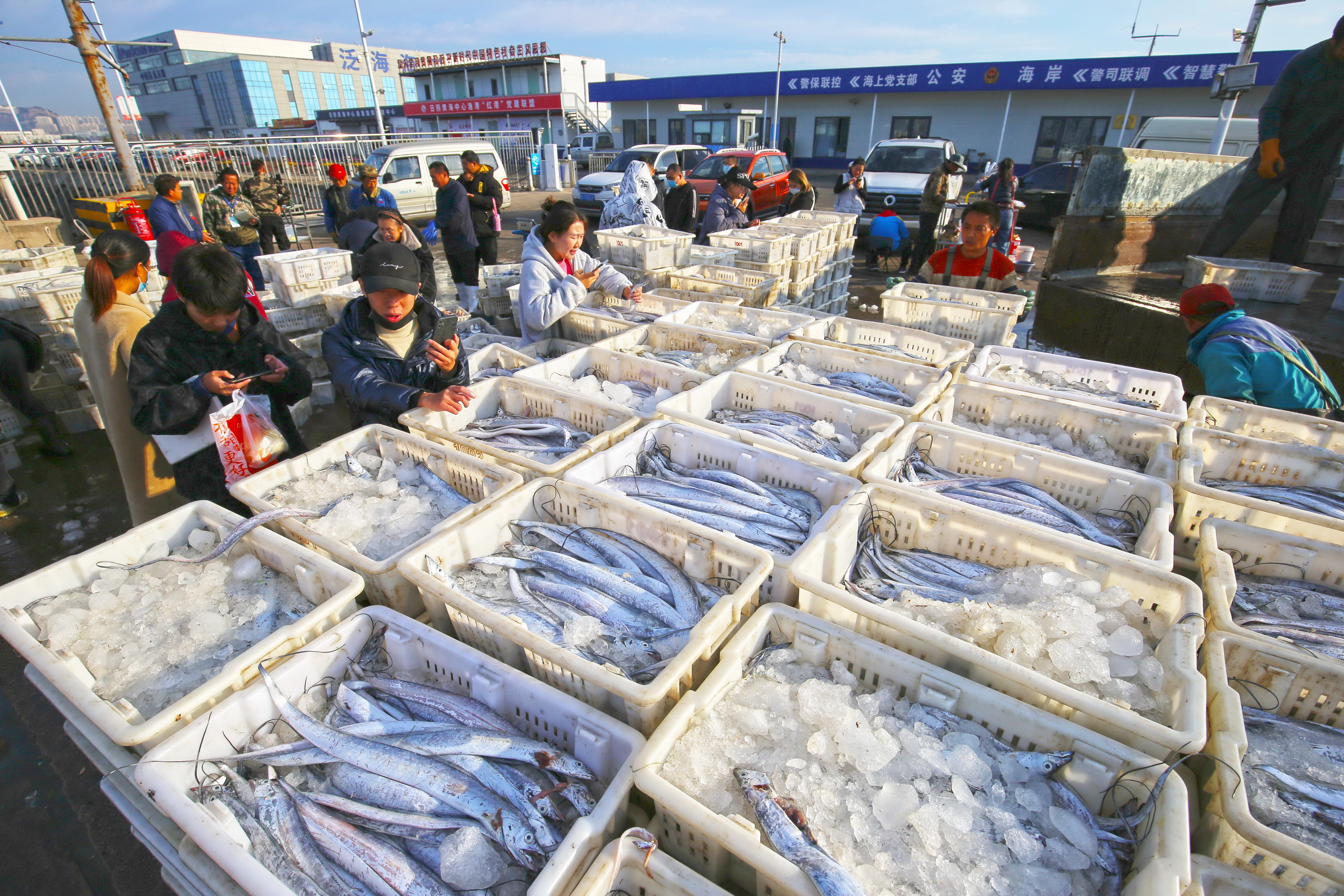 10月20日，漁民在日照黃海中心漁港挑揀、分裝海鮮 。薄林?jǐn)z
