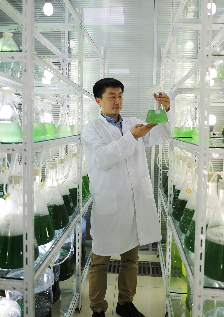 11月8日，德州地福來(lái)生物科技有限公司科研人員正在試驗(yàn)室觀(guān)察藻類(lèi)活性細(xì)胞的生長(zhǎng)狀態(tài)。