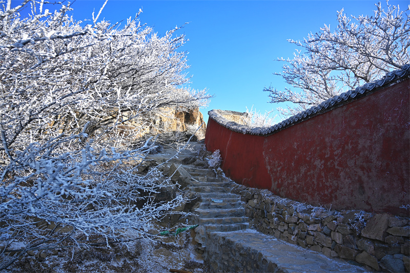泰山之巔現(xiàn)霧凇奇觀，岱頂開啟仙境模式。劉春蓮攝