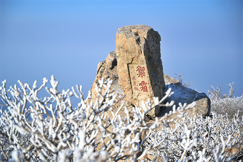 泰山之巔現(xiàn)霧凇奇觀，岱頂開啟仙境模式。劉春蓮攝
