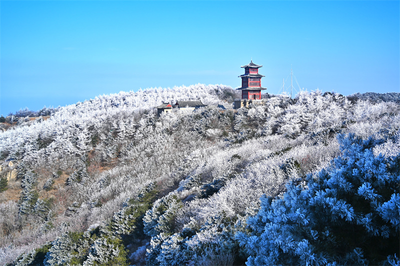 近日，泰山之巔現(xiàn)霧凇奇觀，岱頂開(kāi)啟仙境模式。劉春蓮攝