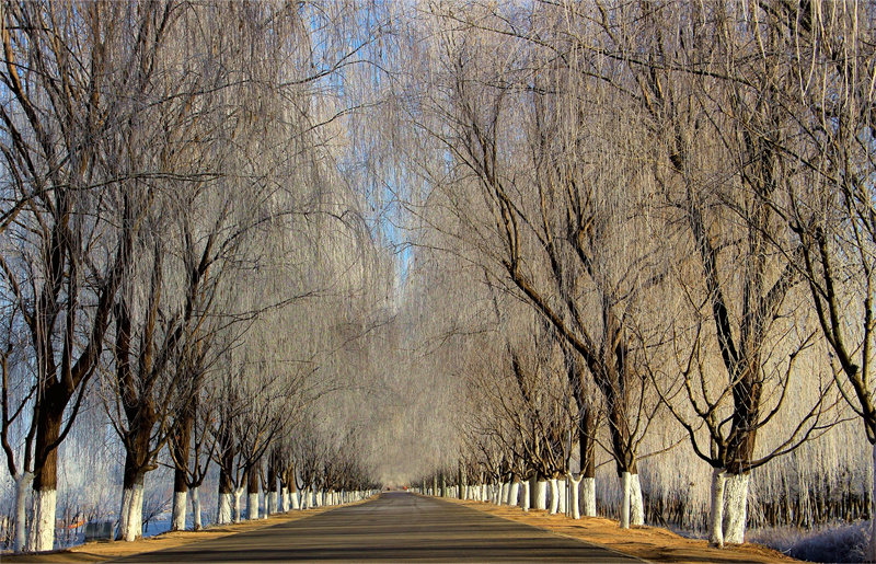 玉符河冰霜凍花，每一幕皆是美景。崔玉榮攝