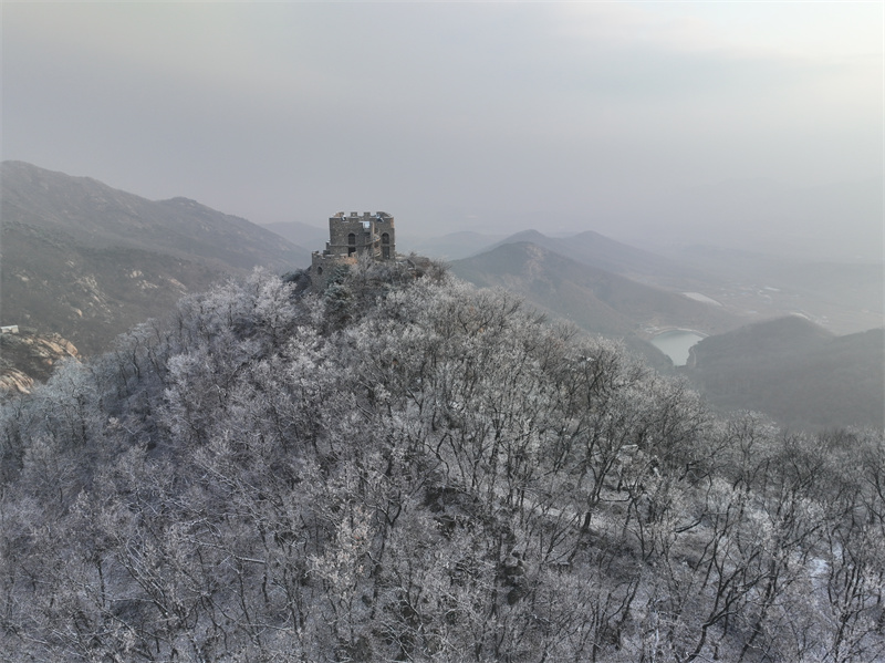 2月10日，山東日照五蓮大青山風(fēng)景區(qū)現(xiàn)霧凇景觀，樹枝頭上都開滿了晶瑩剔透的冰花，清秀雅致 。張弘攝