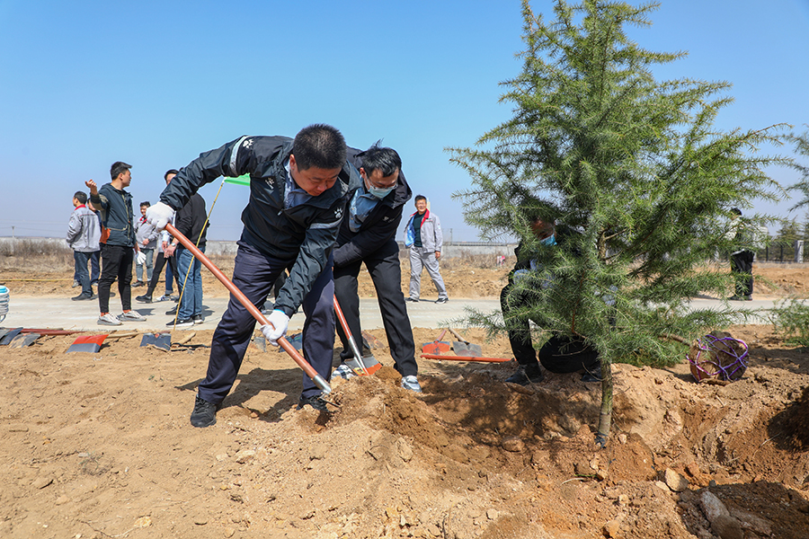 圖為日照市群眾參加公益植樹活動。王勇攝