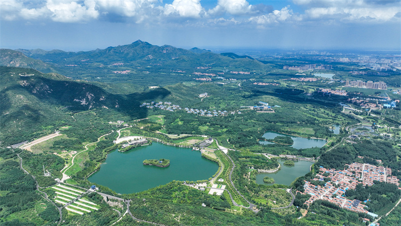 7月28日，山東省鄒平市西董街道櫻花山湖光山色碧連天景觀。