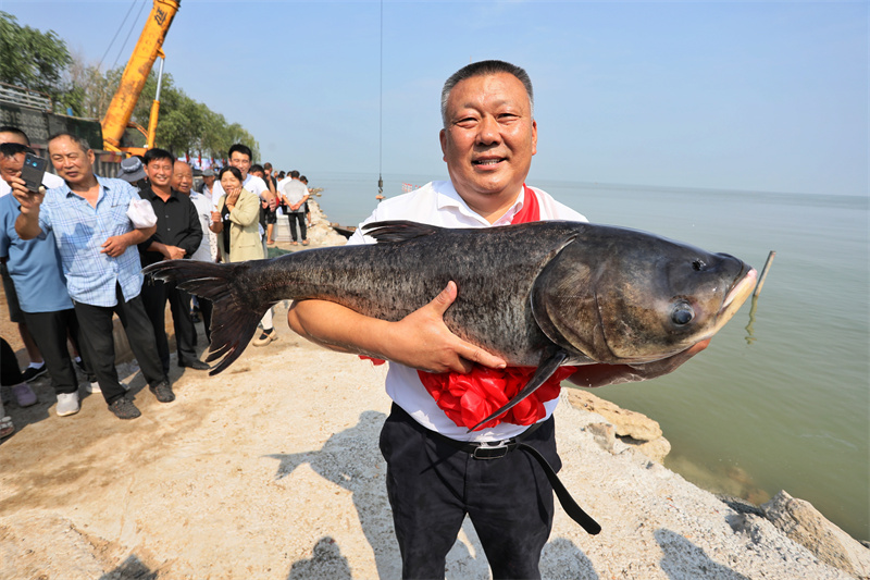 千船競(jìng)發(fā)，東平湖開(kāi)漁迎豐收。