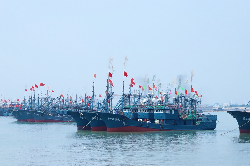在日照黃海中心漁港，漁船整裝待發(fā)。宋年升攝