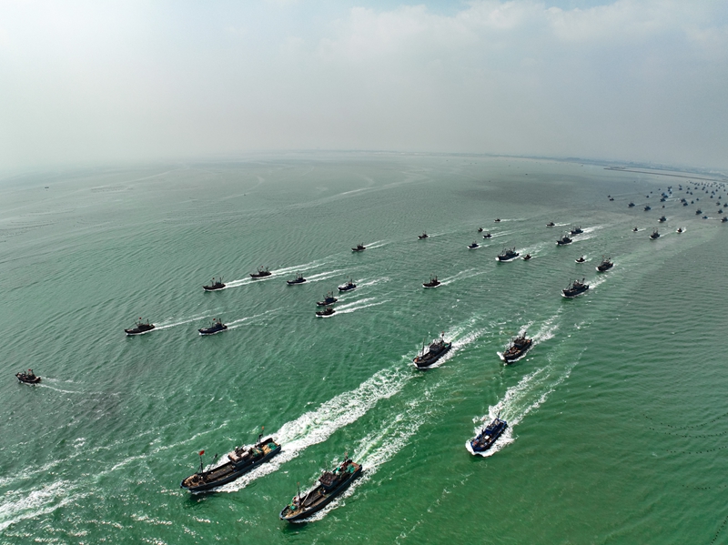 在日照黃海中心漁港，漁船千帆競發(fā)，爭“鮮”出海。趙光海攝