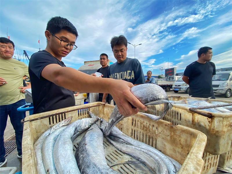 在日照黃海中心漁港，市民正在選購(gòu)海鮮。薄林?jǐn)z