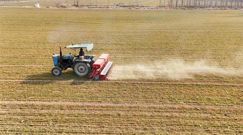 2月18日，鄒平市魏橋鎮(zhèn)農(nóng)民在農(nóng)田里施肥。