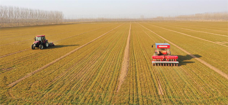 2月18日，鄒平市臺(tái)子鎮(zhèn)盛家村農(nóng)民在麥田追肥。