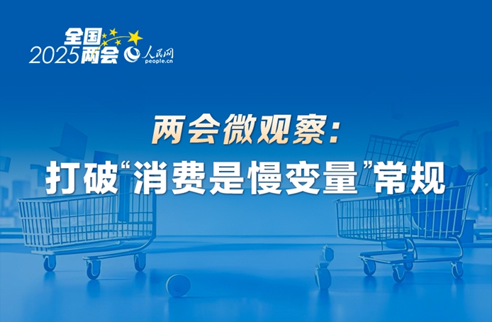 兩會微觀察：打破“消費是慢變量”常規(guī)