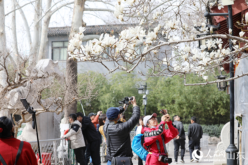盛開的花朵吸引了不少游客前來打卡拍照。人民網(wǎng)記者 劉祺攝