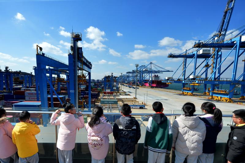 學(xué)生們實(shí)地參觀青島智慧港。