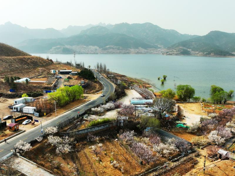 村莊依山傍水，花開正艷。