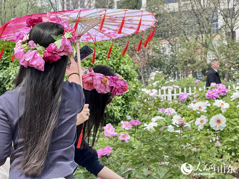 游客們駐足拍照。人民網(wǎng) 鄭昕橋攝