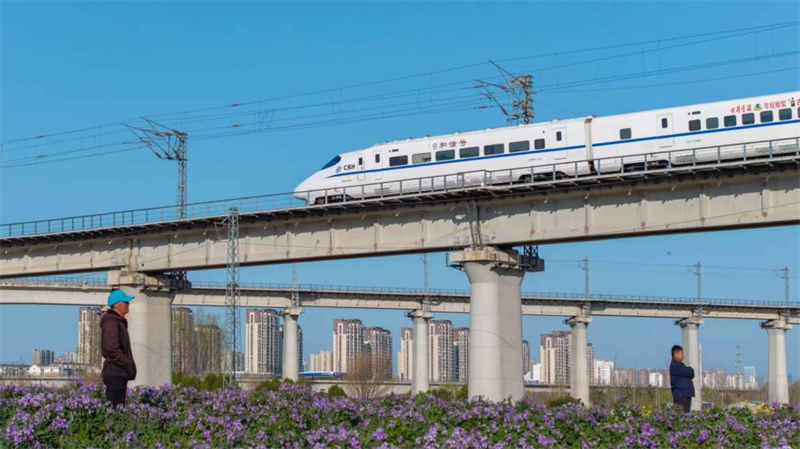 在日照街道迎賓路附近，列車行經(jīng)之處，紫色的碳匯花海像是一幅徐徐展開的巨型織錦。孫順濤攝