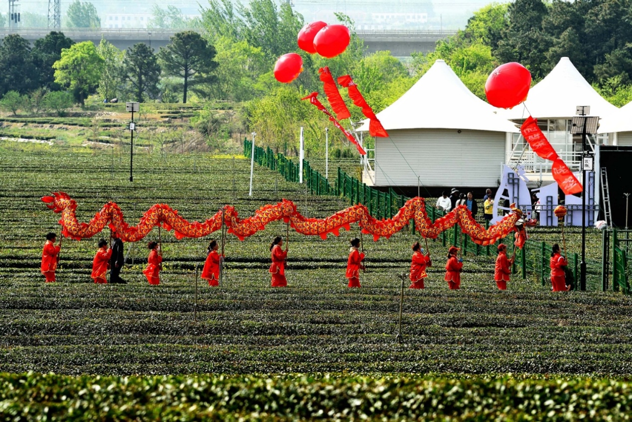 開園當(dāng)日，群眾們?cè)诓鑸@里舞龍慶祝。丁斌攝