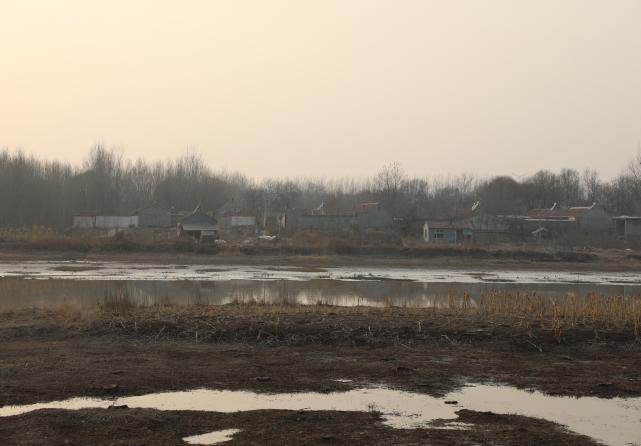 河道生態(tài)修復后