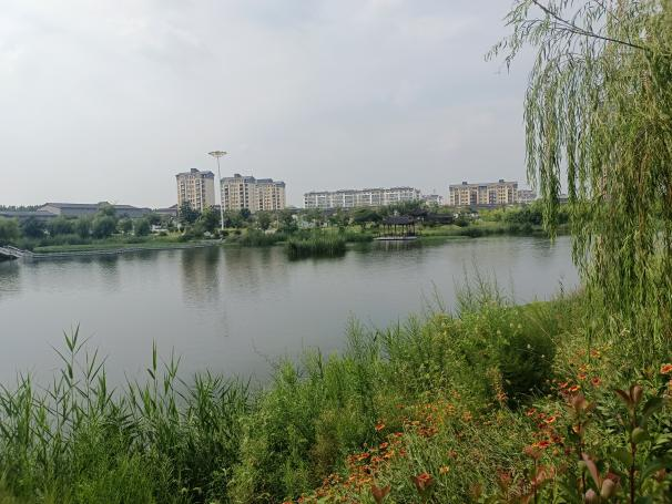 河道治理后