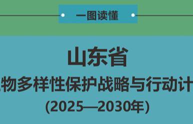 一圖讀懂 |《山東省生物多樣性保護戰(zhàn)略與行動計劃（2025—2030年）》