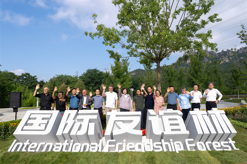 青島國際友誼林揭牌。青島市委外辦供圖