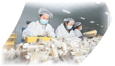 頤陽集團西洋參生產(chǎn)車間，工人正在包裝西洋參破壁粉。王彥博攝