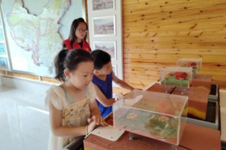  濟南平陰：觀鳥、學(xué)知識、護生態(tài)！帶同學(xué)們玩轉(zhuǎn)濕地課堂