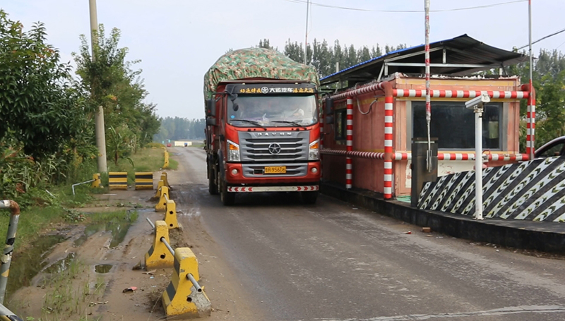 黃河浮橋開通“綠色”通道，為“秋收車”免通行費。曹金磊攝