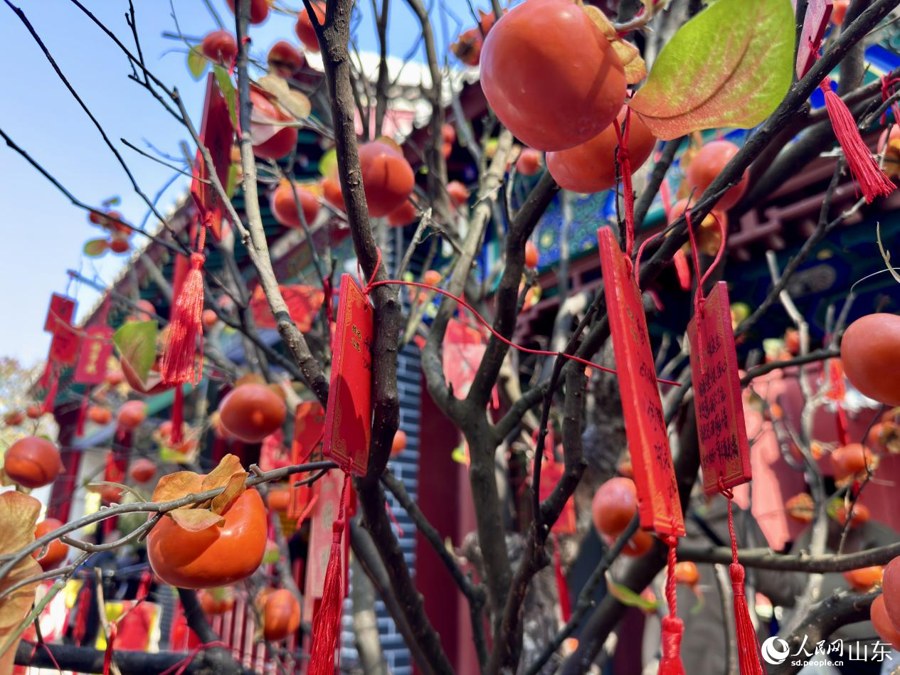 寫滿祝福的木牌在柿子樹枝頭隨風(fēng)搖曳。人民網(wǎng) 鄭昕橋攝