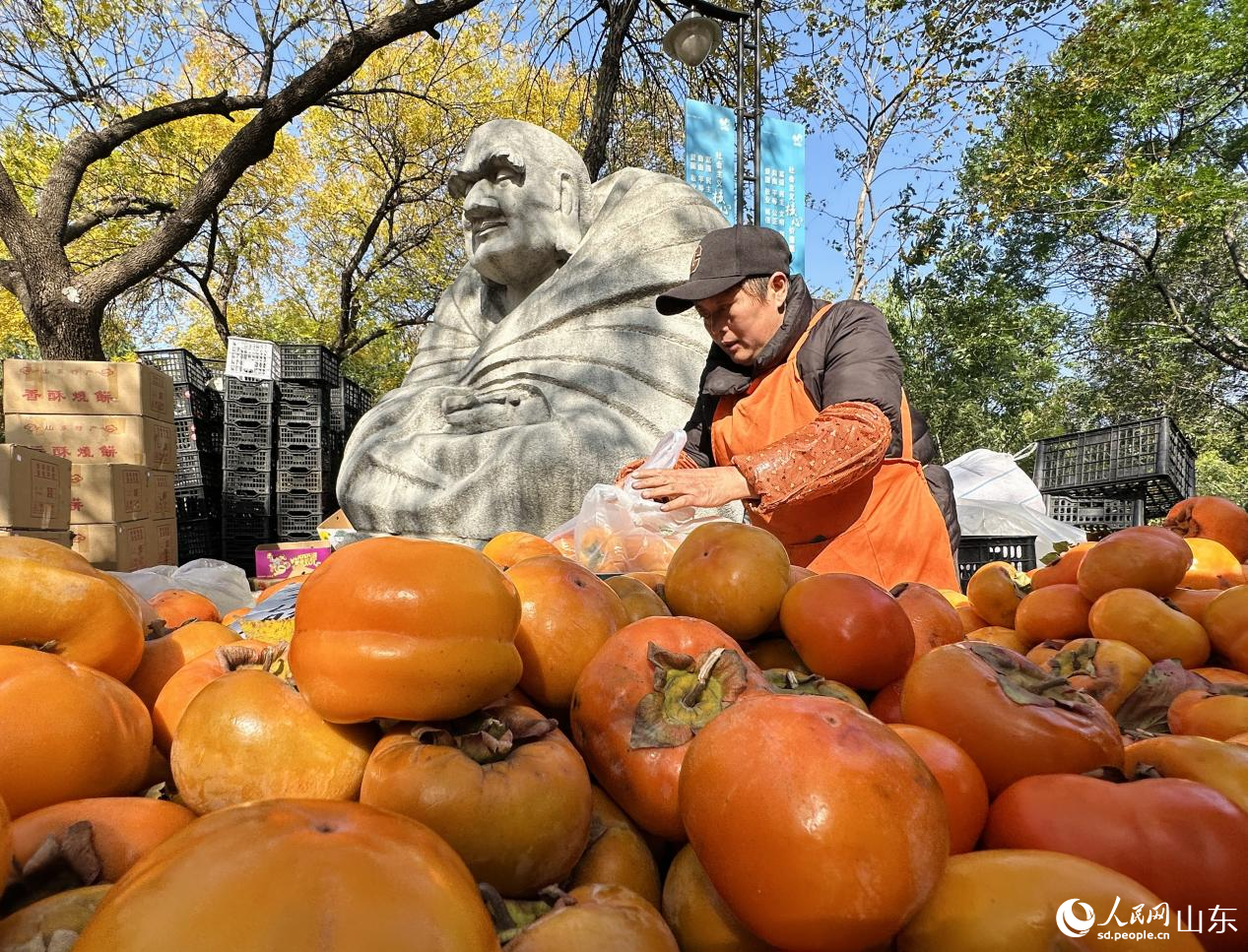 大而飽滿的柿子擺滿了攤位，現(xiàn)場(chǎng)洋溢著豐收的喜悅。人民網(wǎng) 喬姝攝