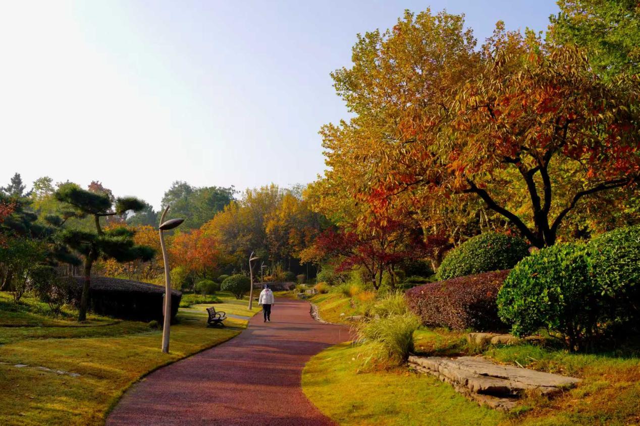 公園里五彩斑斕交織成一幅油畫。袁召勇 攝