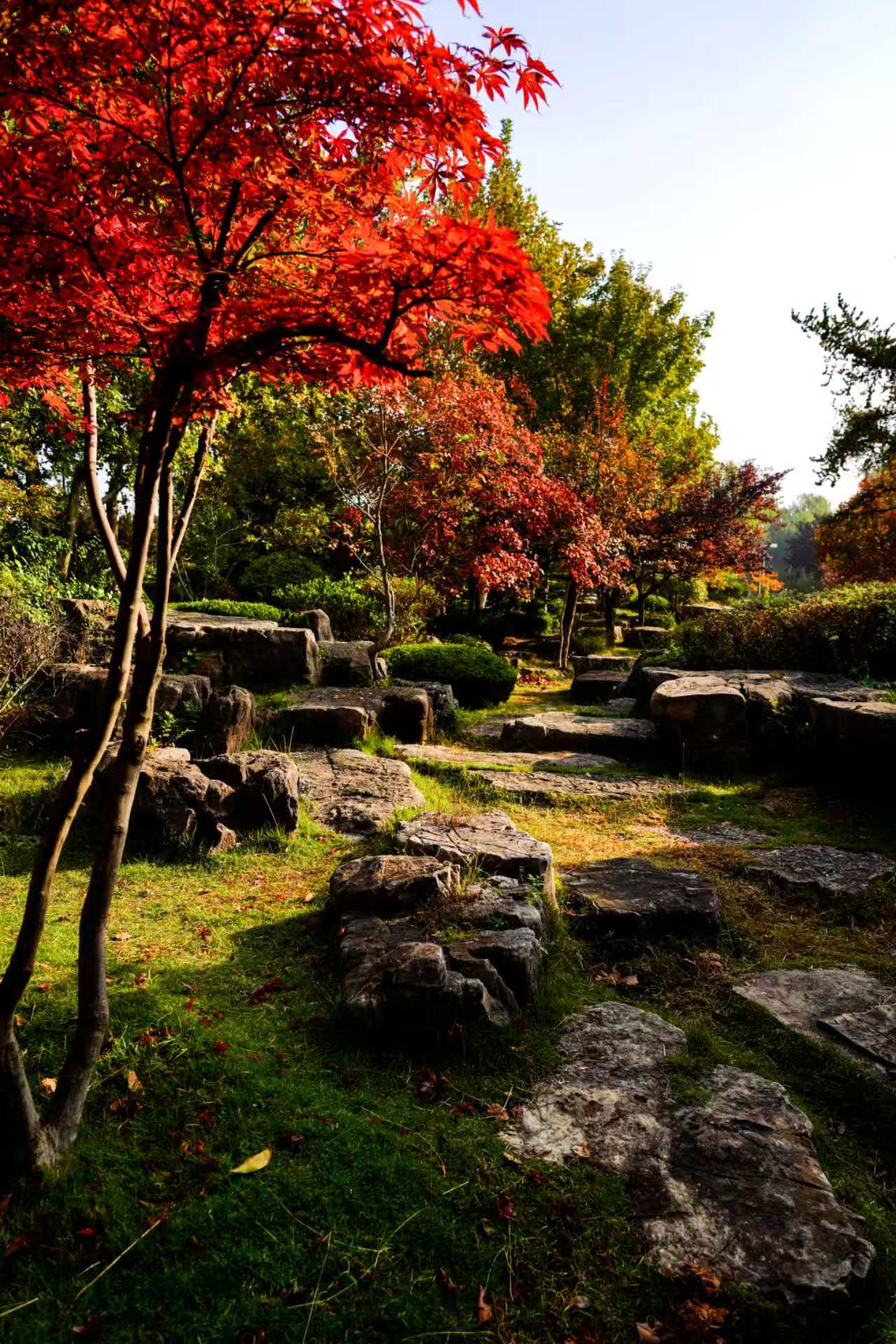 公園里五彩斑斕交織成一幅油畫。袁召勇 攝