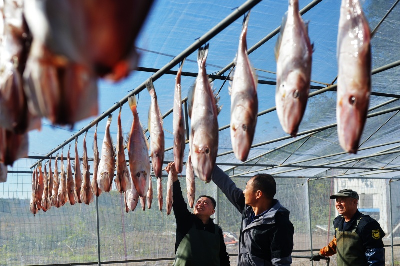 漁民在晾曬“一鹵鮮”面包魚干。