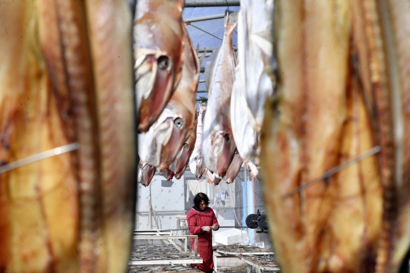 漁民在晾曬各種“一鹵鮮”風(fēng)味魚干。