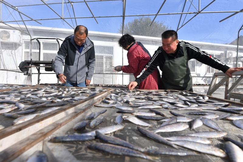 漁民在晾曬各種“一鹵鮮”風(fēng)味魚干。