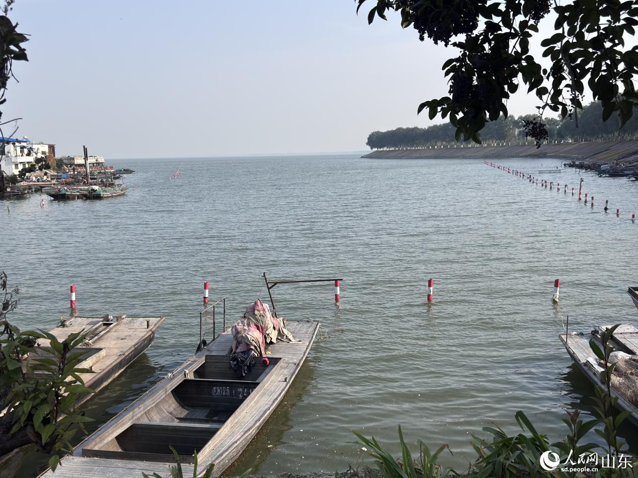 東平湖湖面在微風(fēng)吹拂下蕩起波紋。人民網(wǎng) 鄭昕橋攝