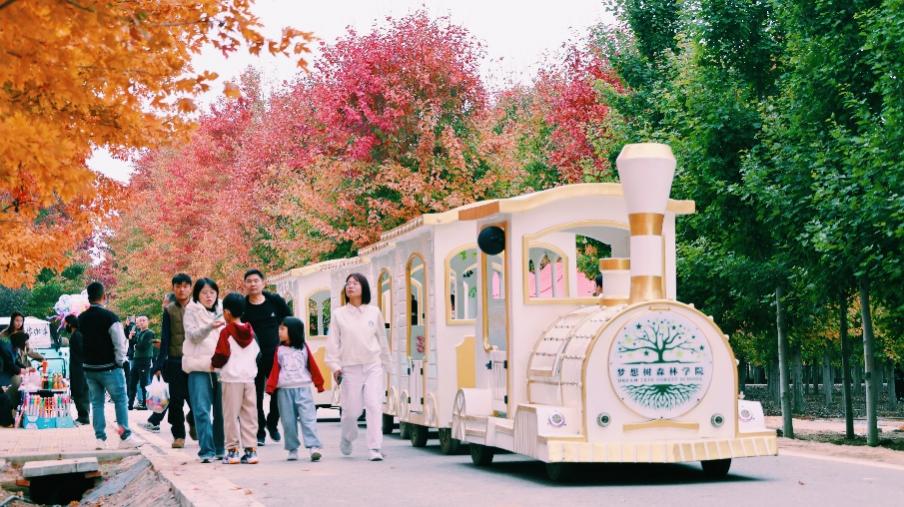 紅楓文化節(jié)人流如織