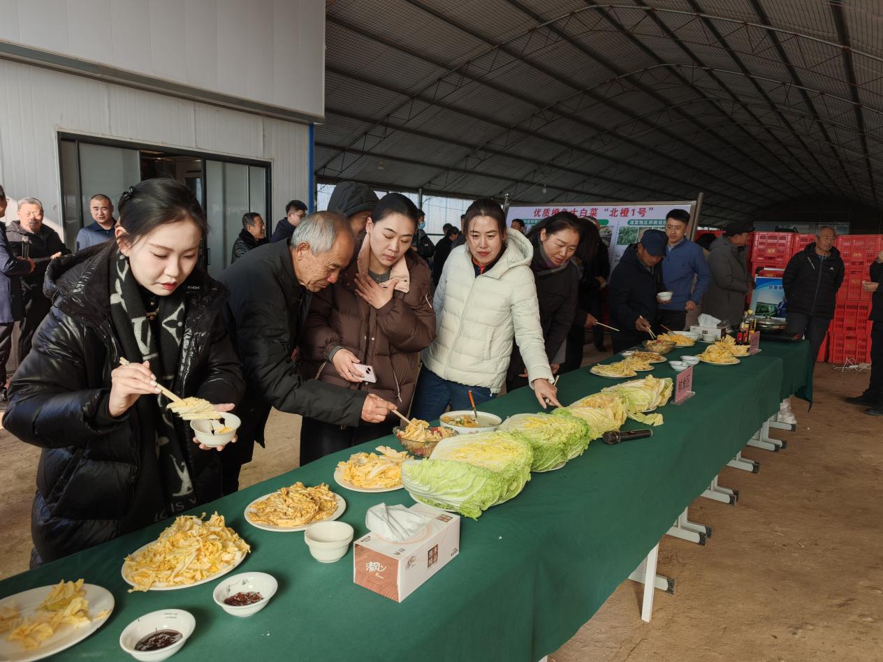 與會人員品嘗“北橙1號”白菜