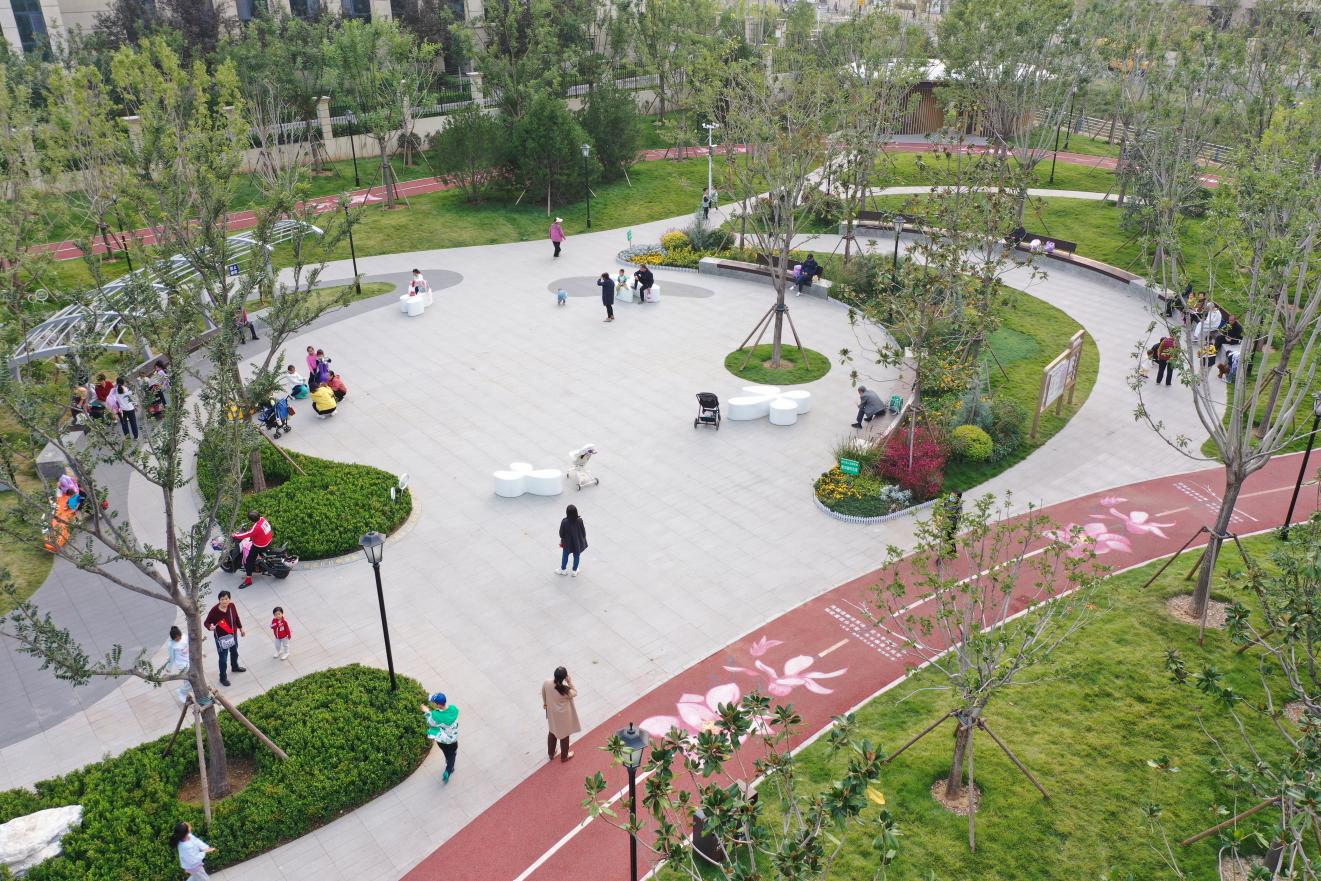 濟南市高新區(qū)漢峪玉蘭公園。宋希英攝