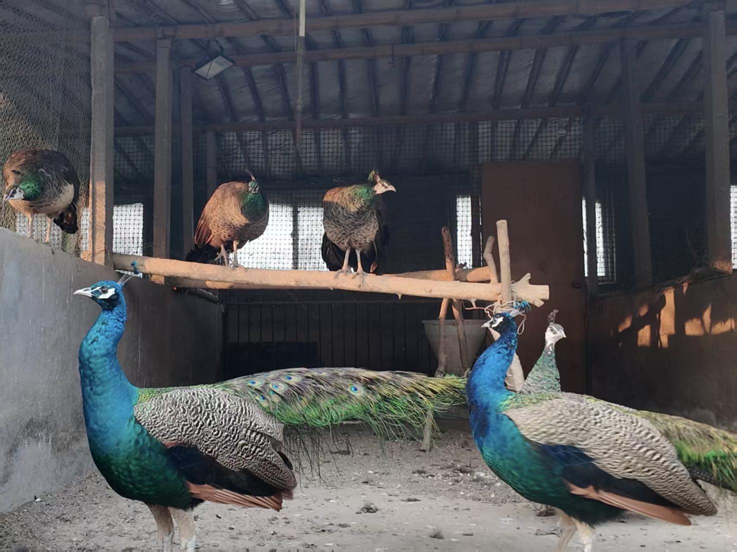 微信圖片_20251118171419_789_5