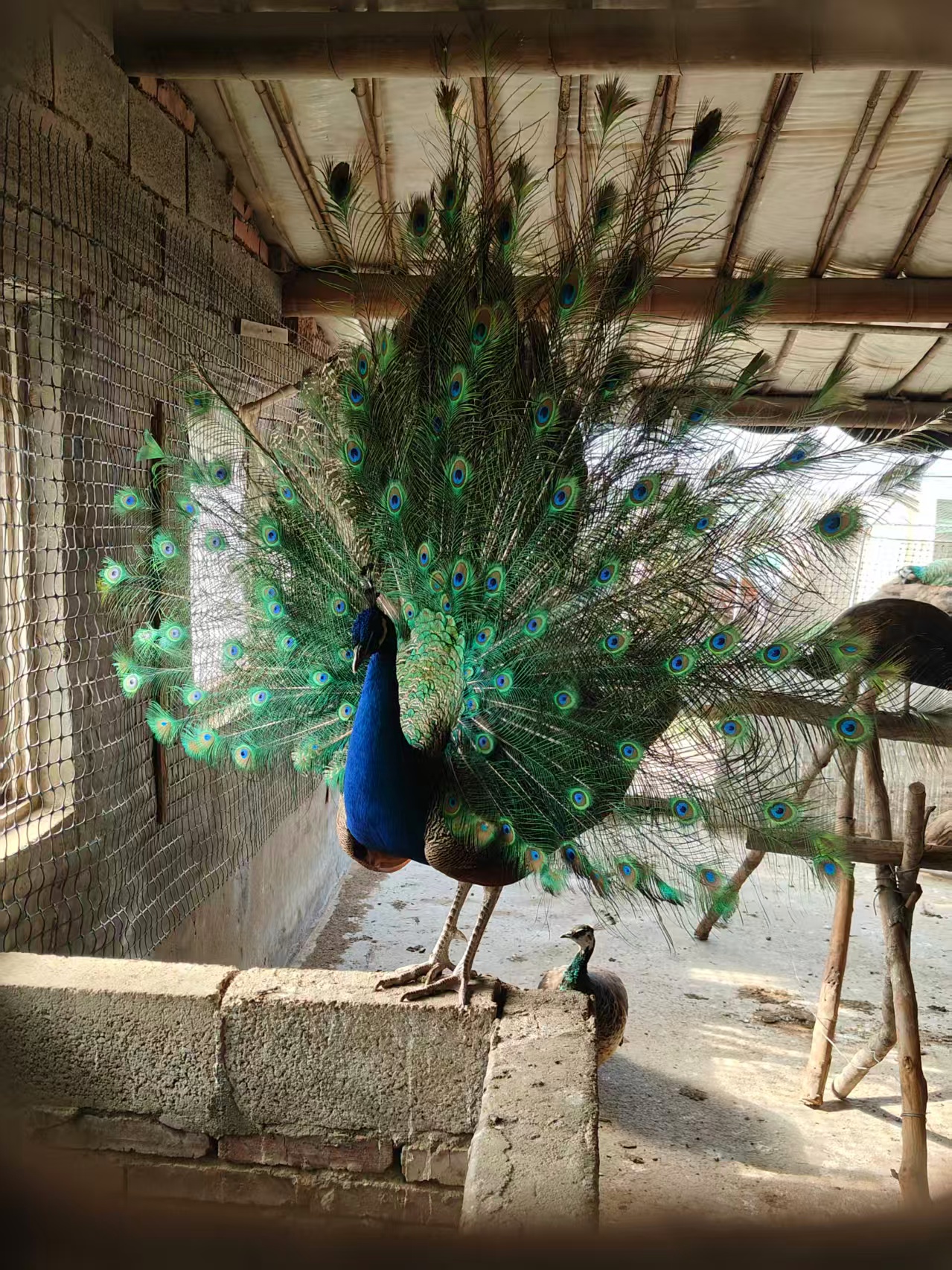 微信圖片_20251124164419_636_10