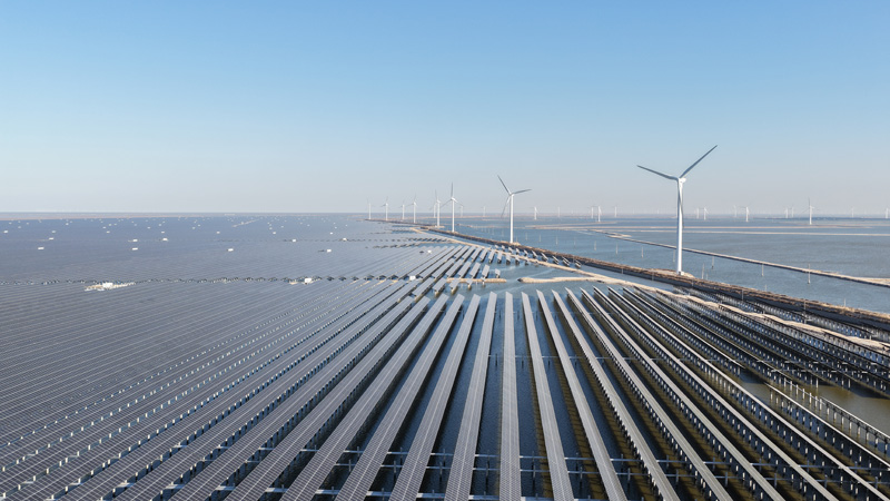 山東沾化：海邊的綠色“智能工廠”