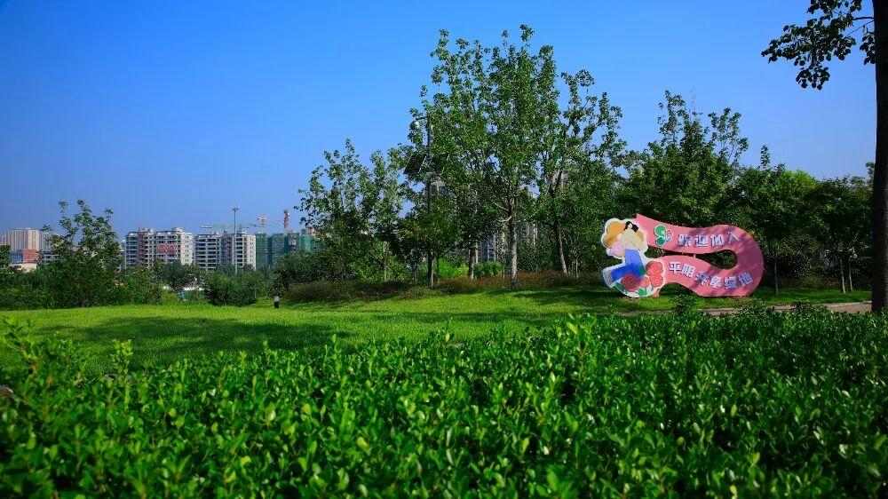平陰縣錦東公園南門西側(cè)共享綠地