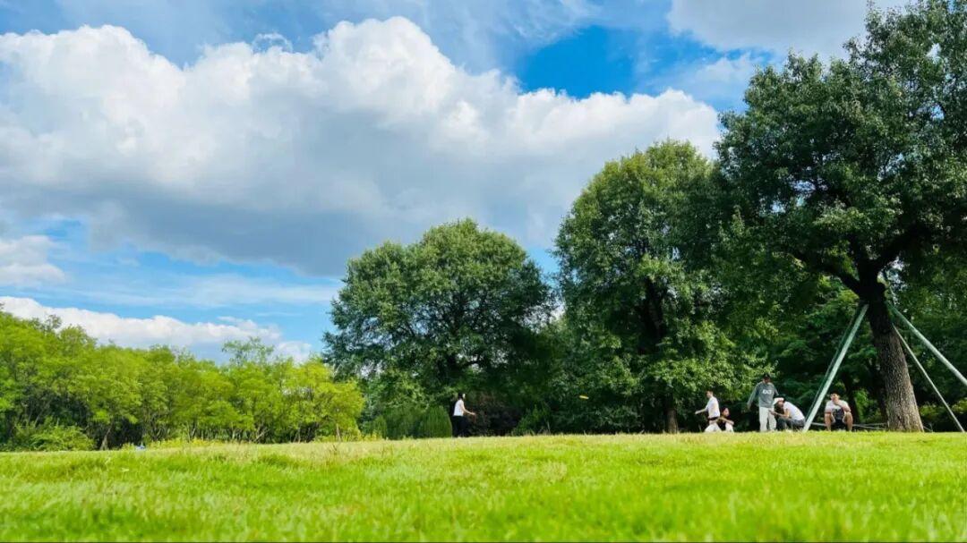 濟(jì)南森林公園北部大草坪