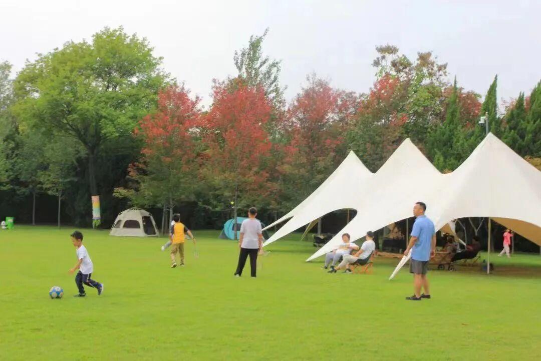 濟(jì)南植物園彩色植物區(qū)大草坪